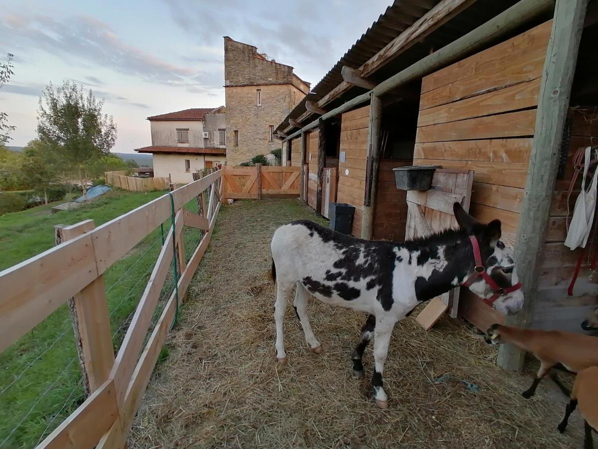 Villa Les Hauts Vallons Puylaroque Eksteriør billede